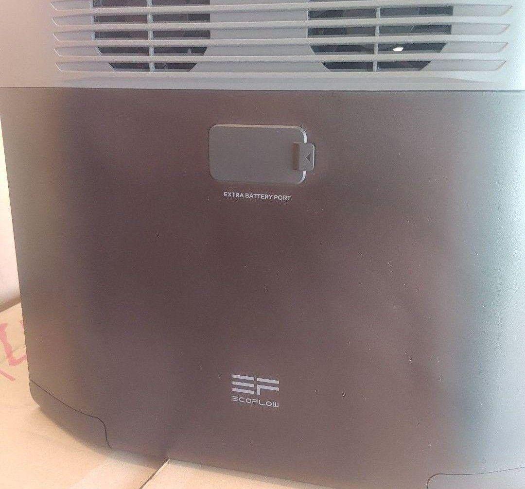み*迎様 正規整備済品　EcoFlow DELTA 2 ポータブル電源