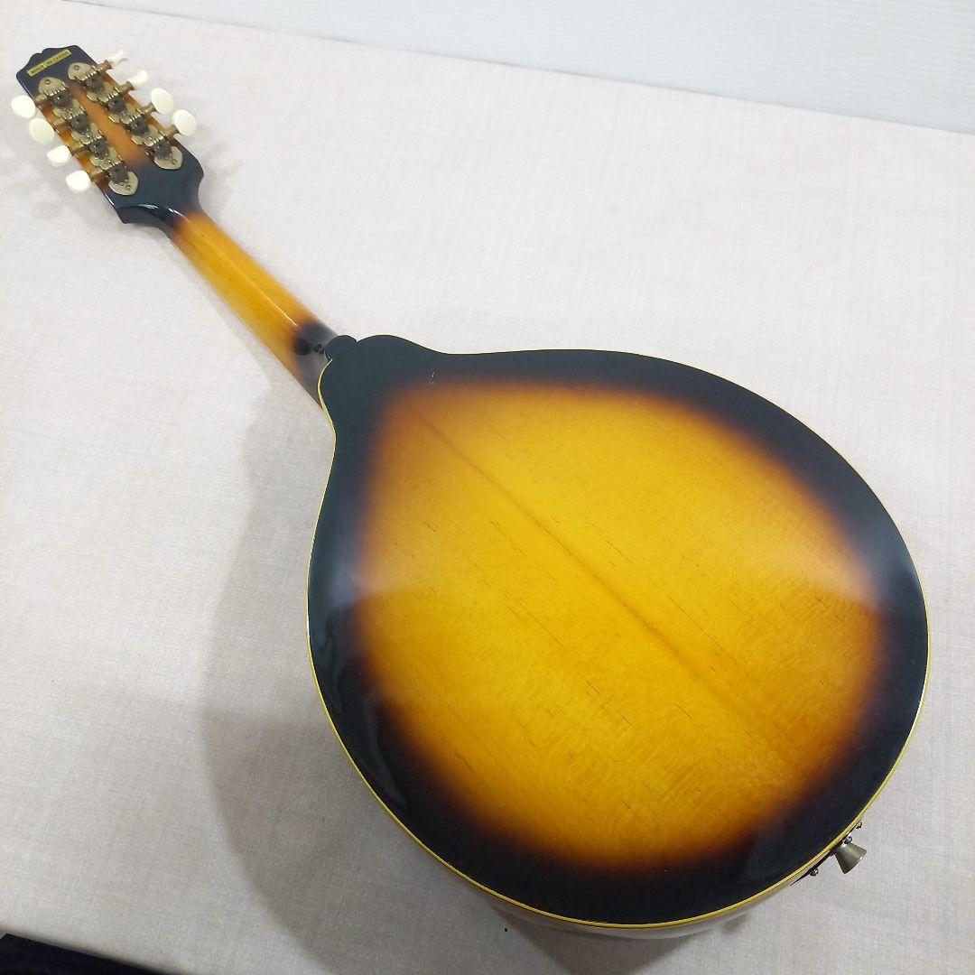 VISION フラットマンドリン A-Model VMA-38S VS