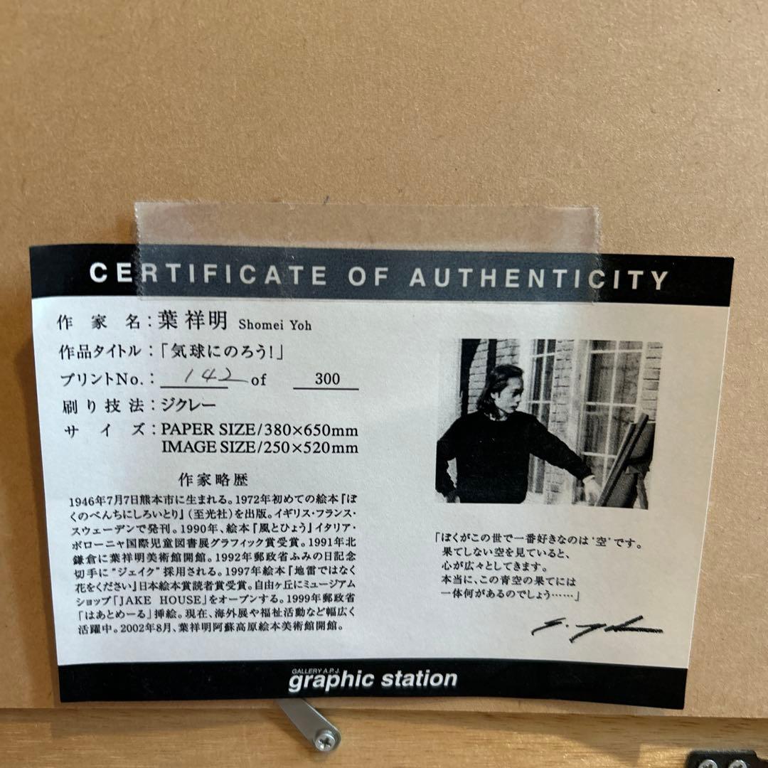 葉祥明　気球にのろう