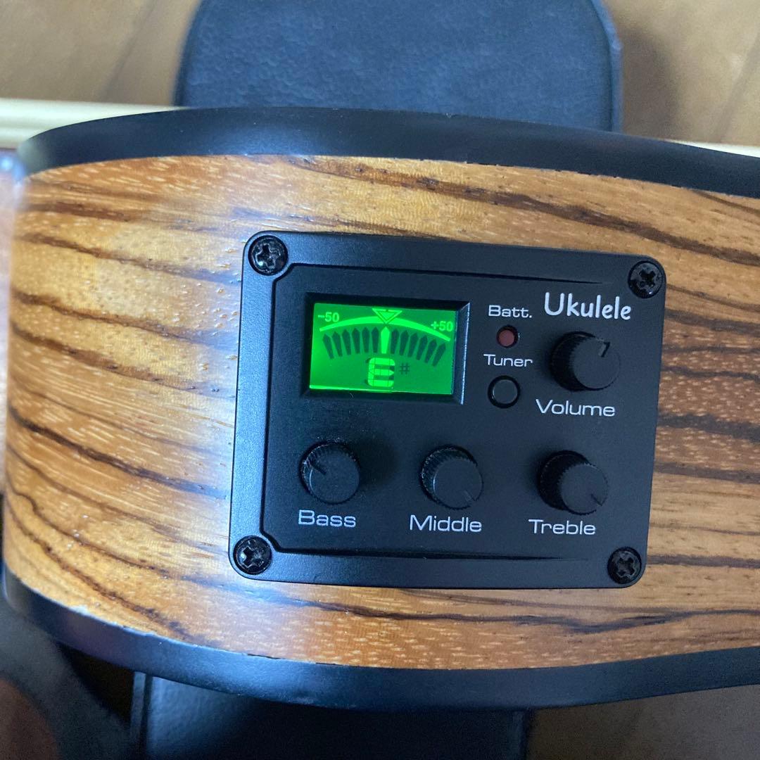 Hadean ウクレレベース　ハードケース付き