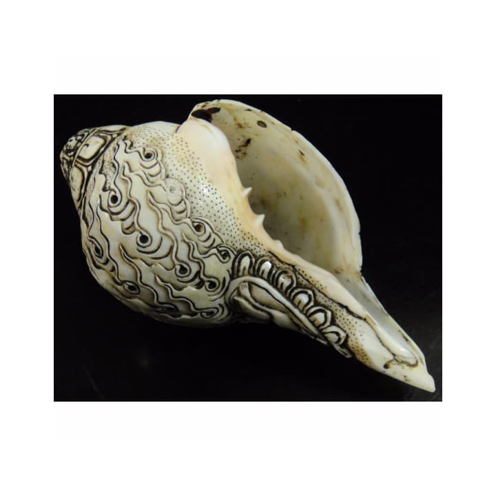 ◆チベット密教法具　法螺貝（シャンカ）ブラック・ジャンバラ(宝蔵神)像　仏教