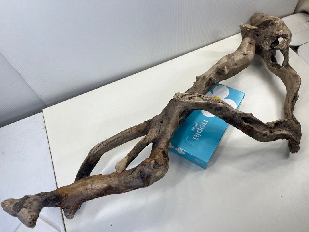 k36特大流木 アク抜き済み 爬虫類シェルター レイアウト用 登り木 インテリア