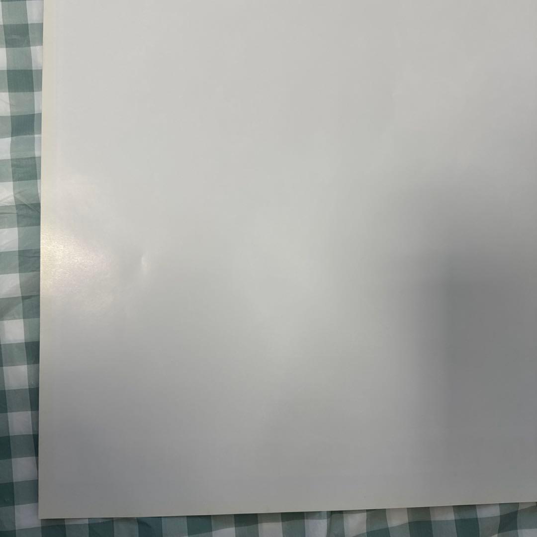 貴重・レア　ストリートファイター　コレクション　販促用　ポスター