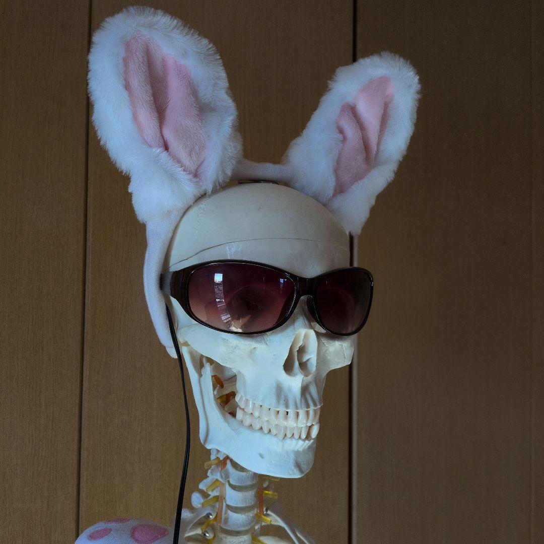 等身大人体骨格模型　 ハロウィン装飾　ドッキリなどにどうぞ！