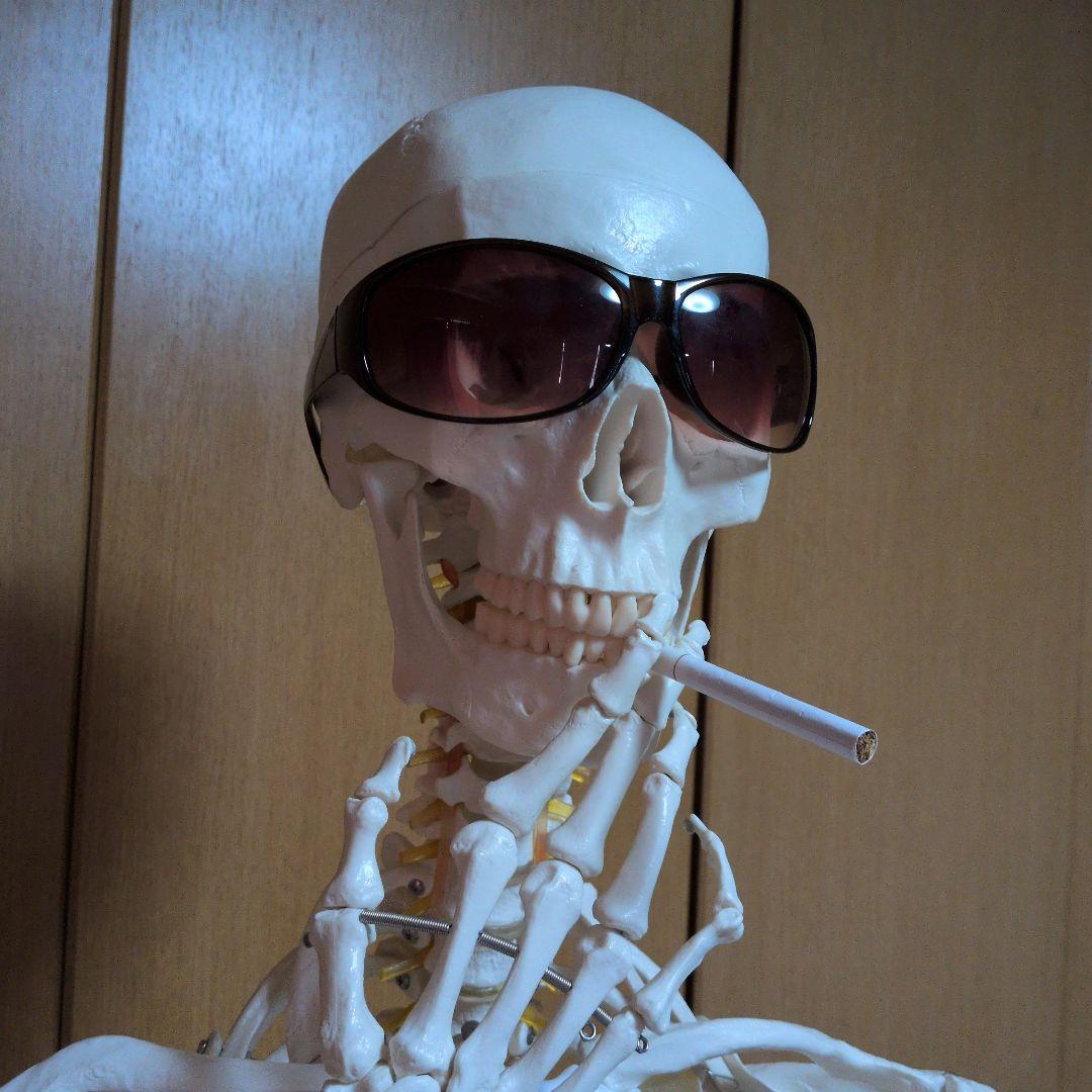 等身大人体骨格模型　 ハロウィン装飾　ドッキリなどにどうぞ！