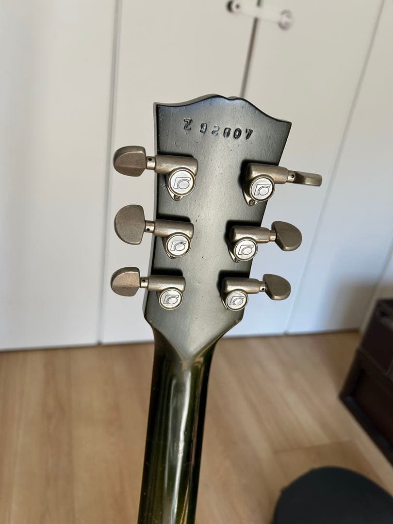 ギター fernandes flg-80