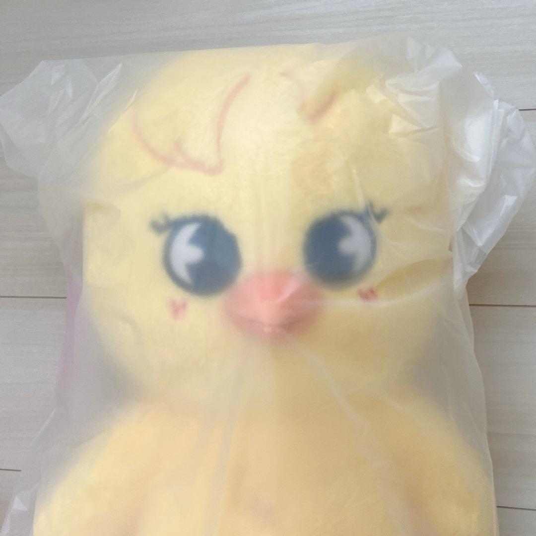スキズ　テディ　ポガリ　felix ピリ