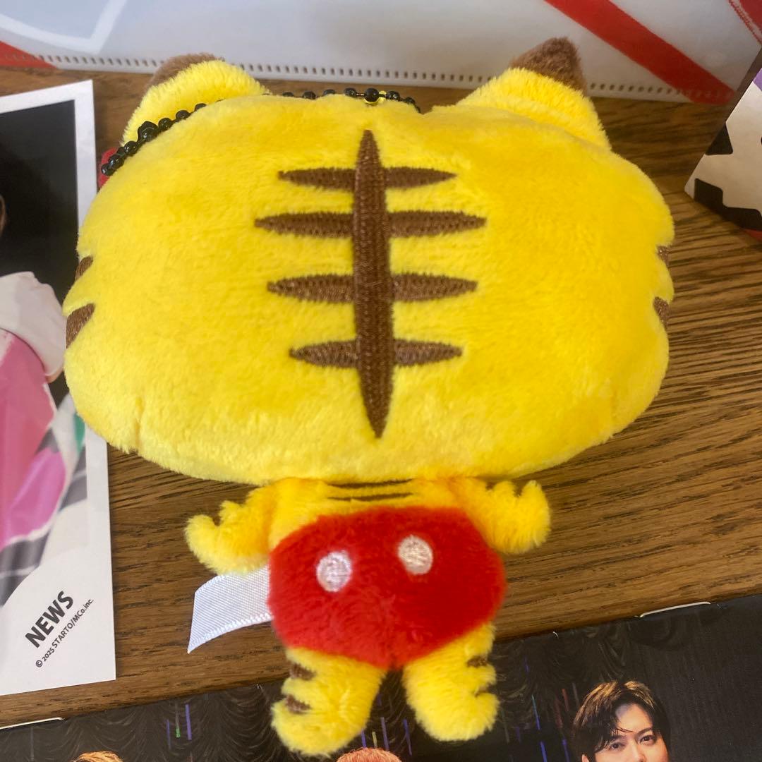 NEWS　増田貴久　ネコます 変身　JAPANEWS 写真集