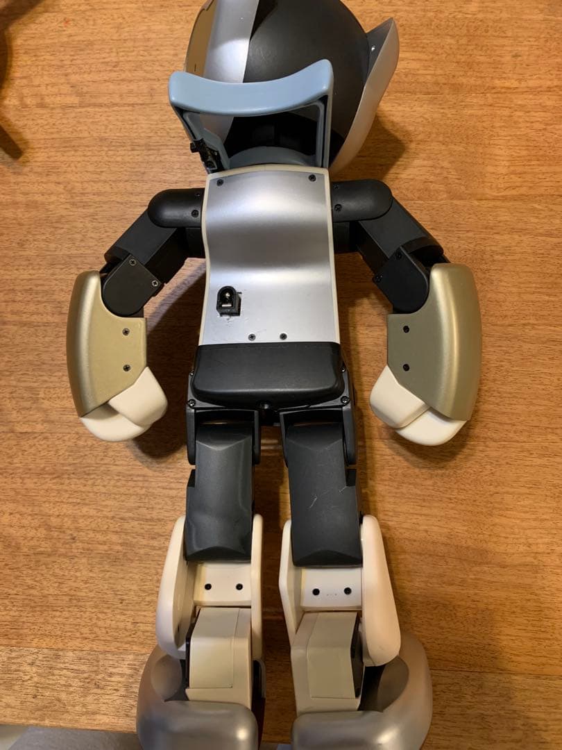 色替えRobi ロビ 2DX版　完動品　オーナー愛称登録してお譲りします。