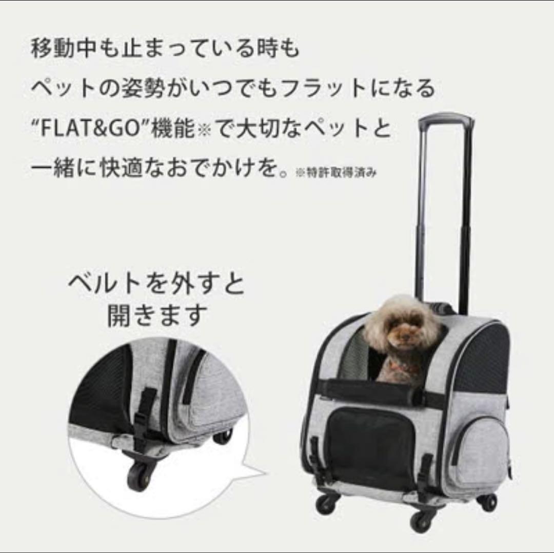 AIRBUGGY キャリーバッグ グレー