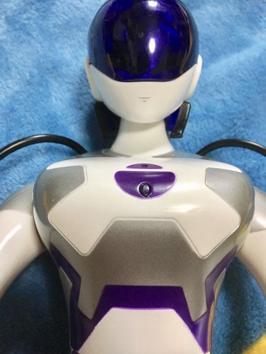 フェミサピエン