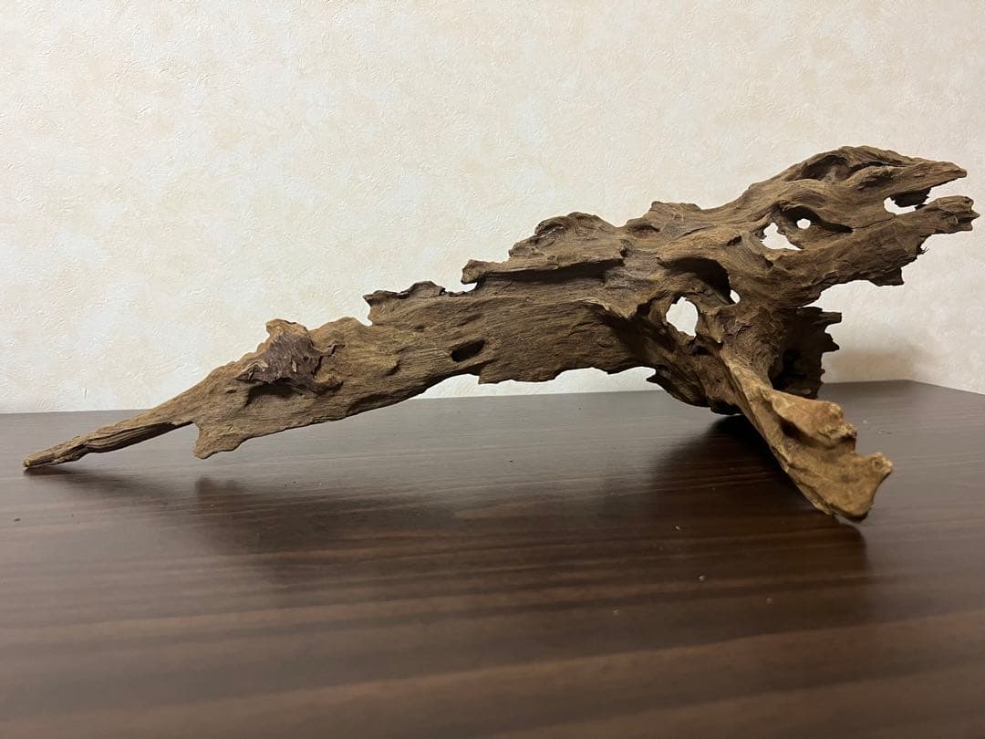 XM-363 ブランチウッド　流木　マシンガンウッド　アクアリウム　爬虫類