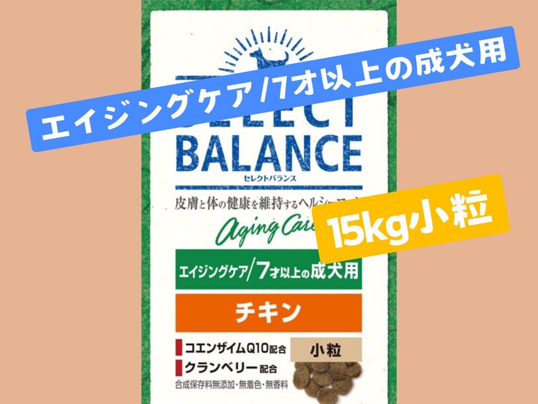 蓮まま