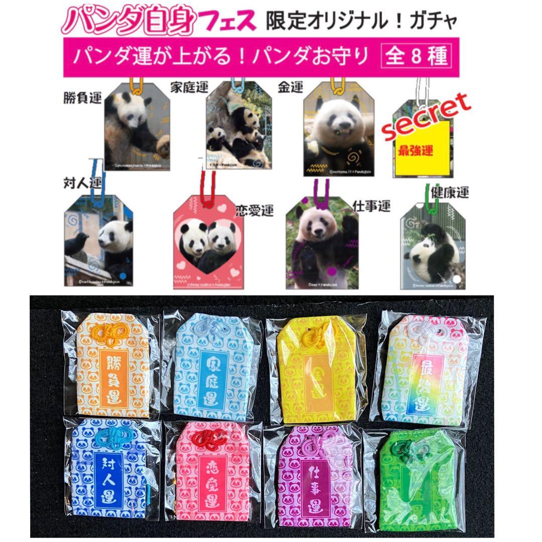 パンダ自身　ガチャ　お守り　全種類　コンプリート　御守　护身符　amulet