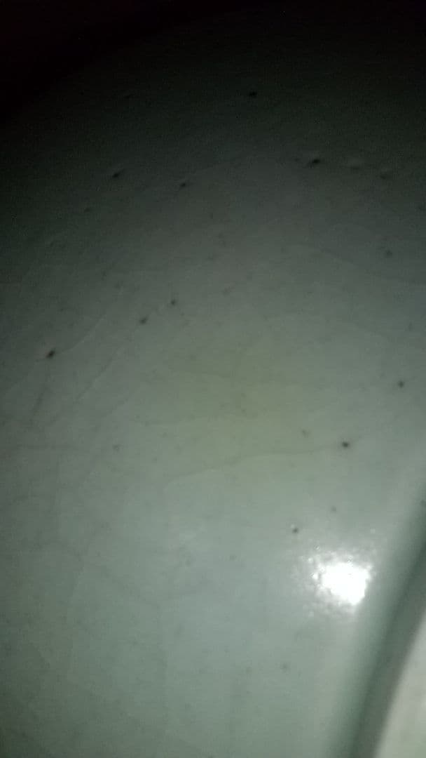 李朝青磁　甁