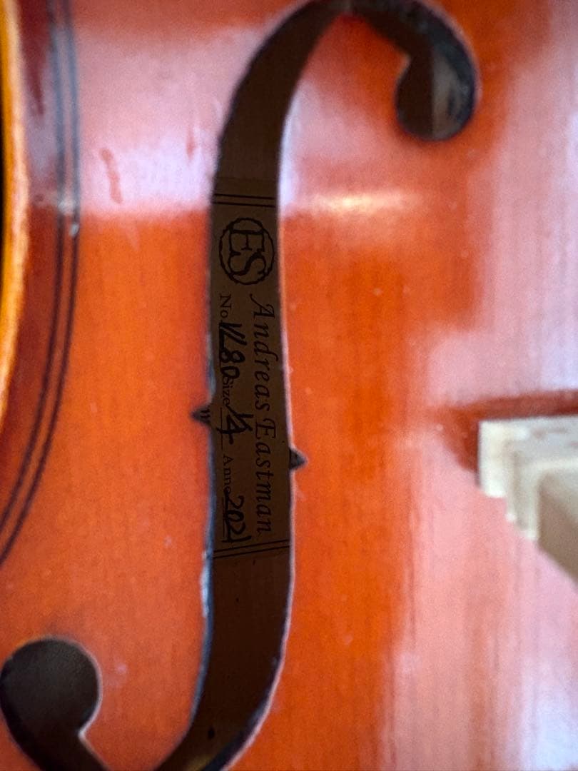 EASTMAN 1/4 バイオリン 2021年製 VL80
