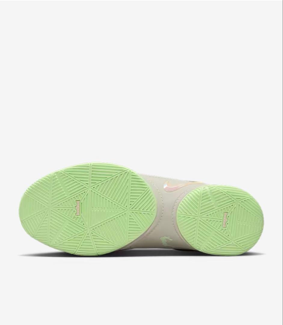 【新品】NIKE ナイキ レブロン 22 EP 26.5㎝