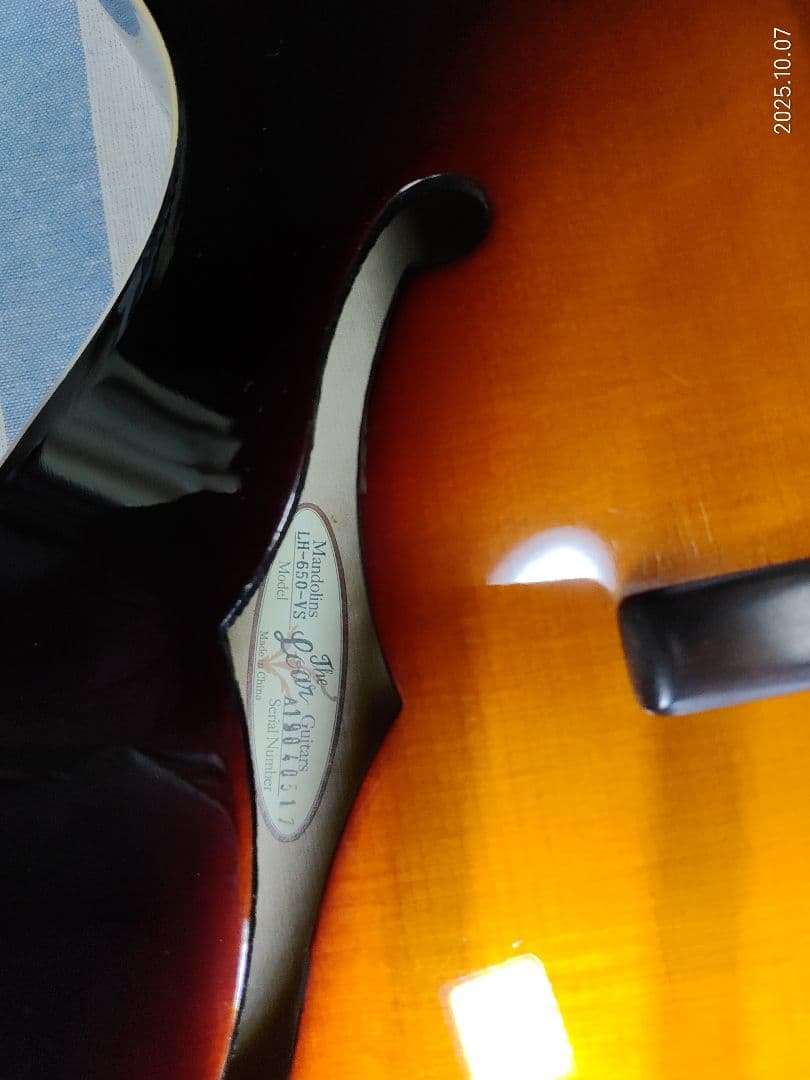 The Loarのハードケース付き1ハムフルアコLH-650vs使用感少な目美品