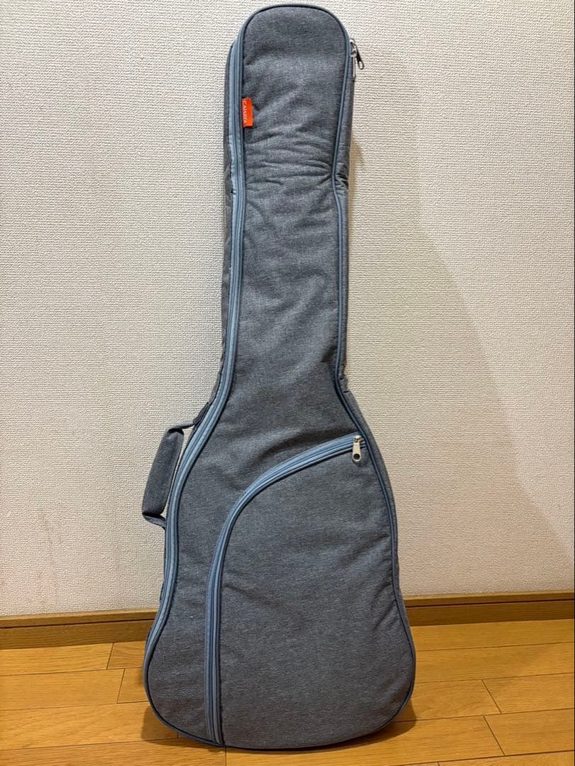 Fender Daiki Tsuneta Swinger 常田大希