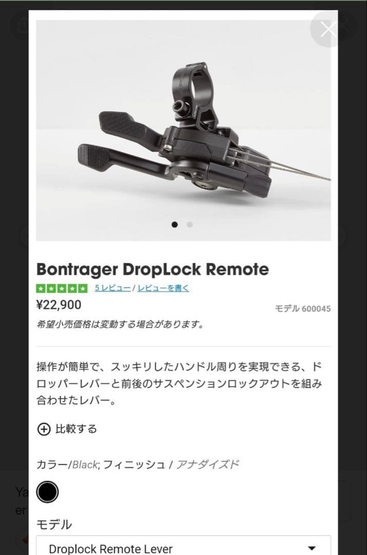サザンカ