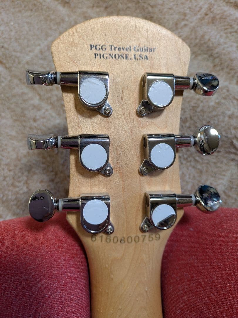 ギター Pignose PGG200 CS