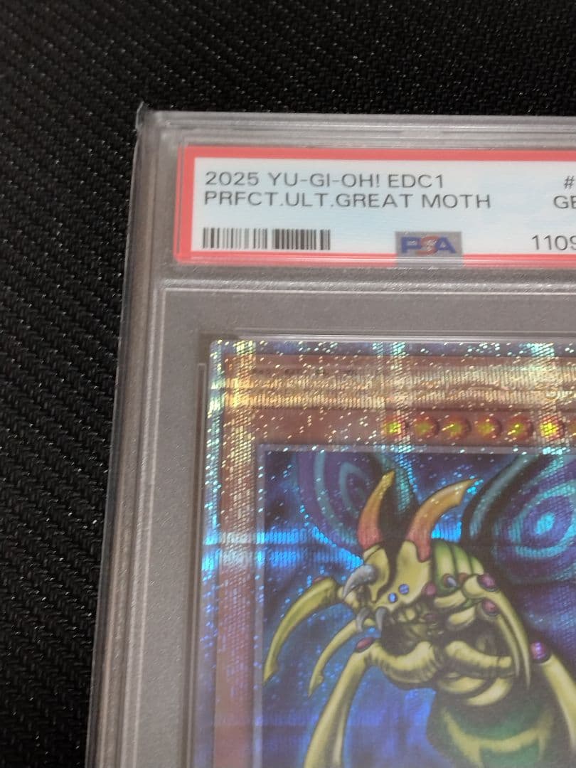 遊戯王【PSA10】究極完全態・グレート・モス　ホーリー・ナイト・ドラゴン
