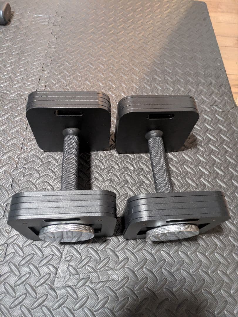 Eisenlink 可変式ダンベル　20kg　2個セット　引取