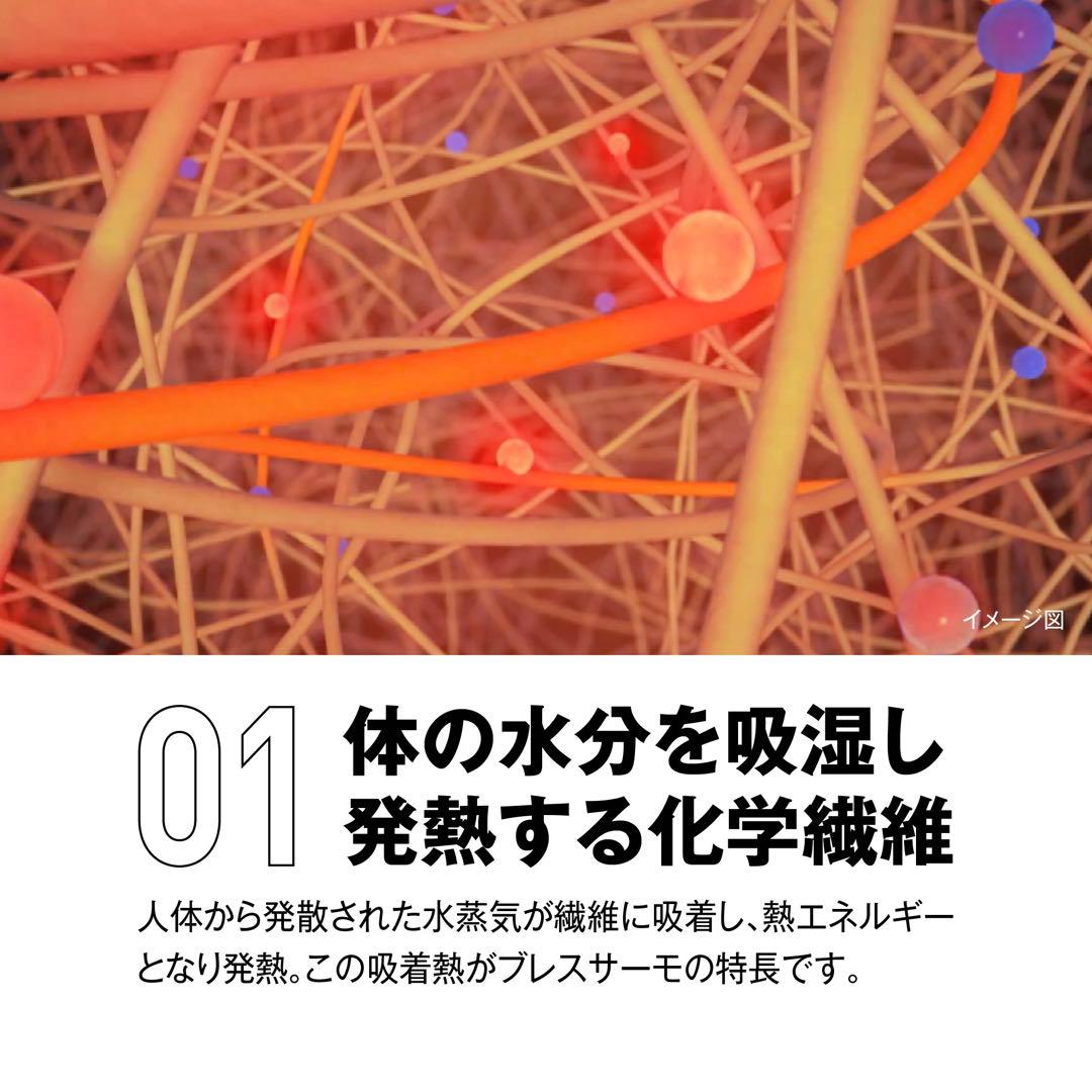Lサイズ　ミズノ　ブレスサーモ　ウインドブレーカー　ジャケット　パンツ　セット
