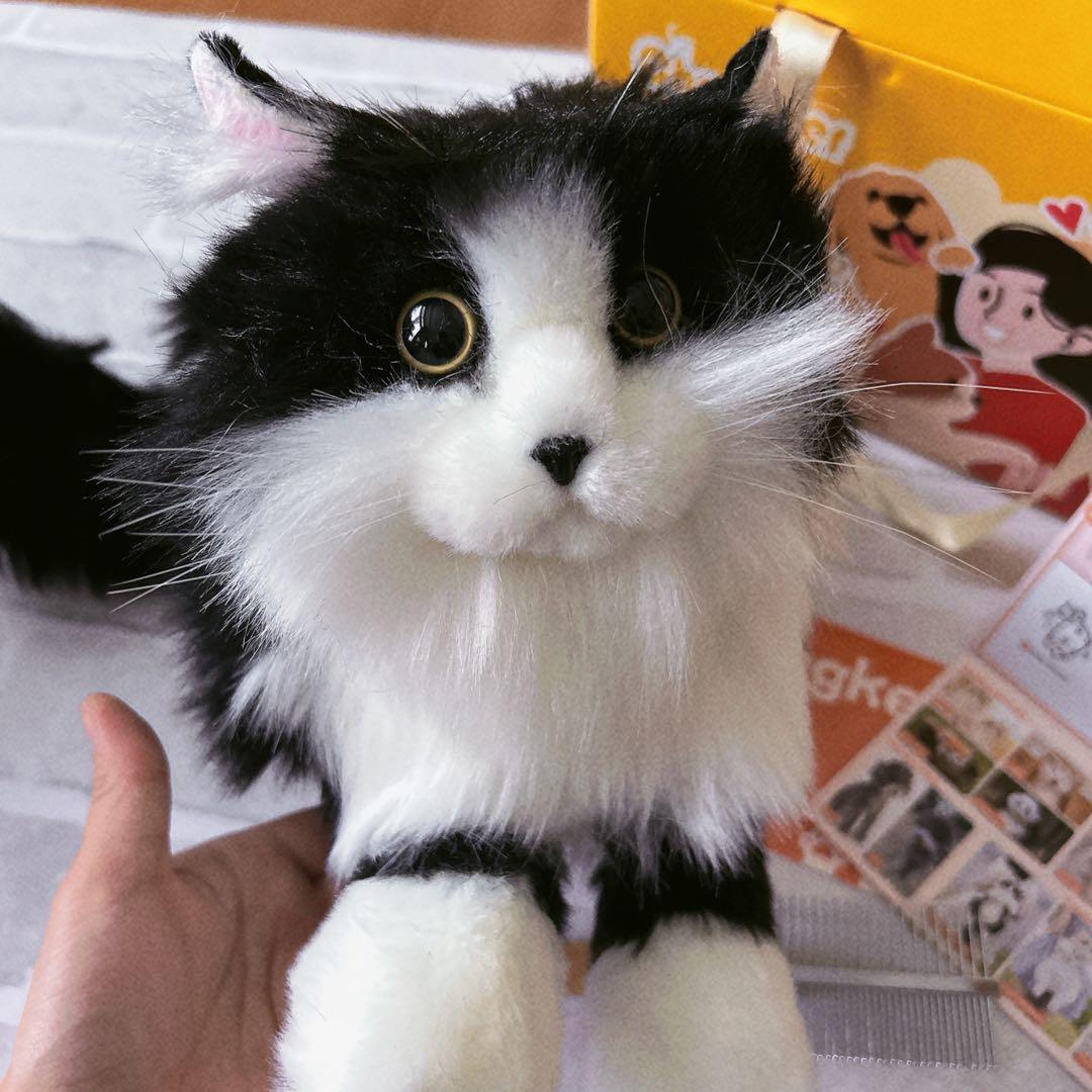 Chongker 猫ぬいぐるみ リアル 本物そっくり