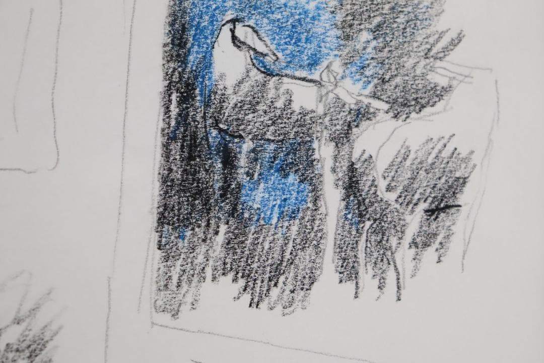 真作保証 ポール・ギヤマン 「馬に鳥に花にバイオリン」 肉筆 パステル画 希少品