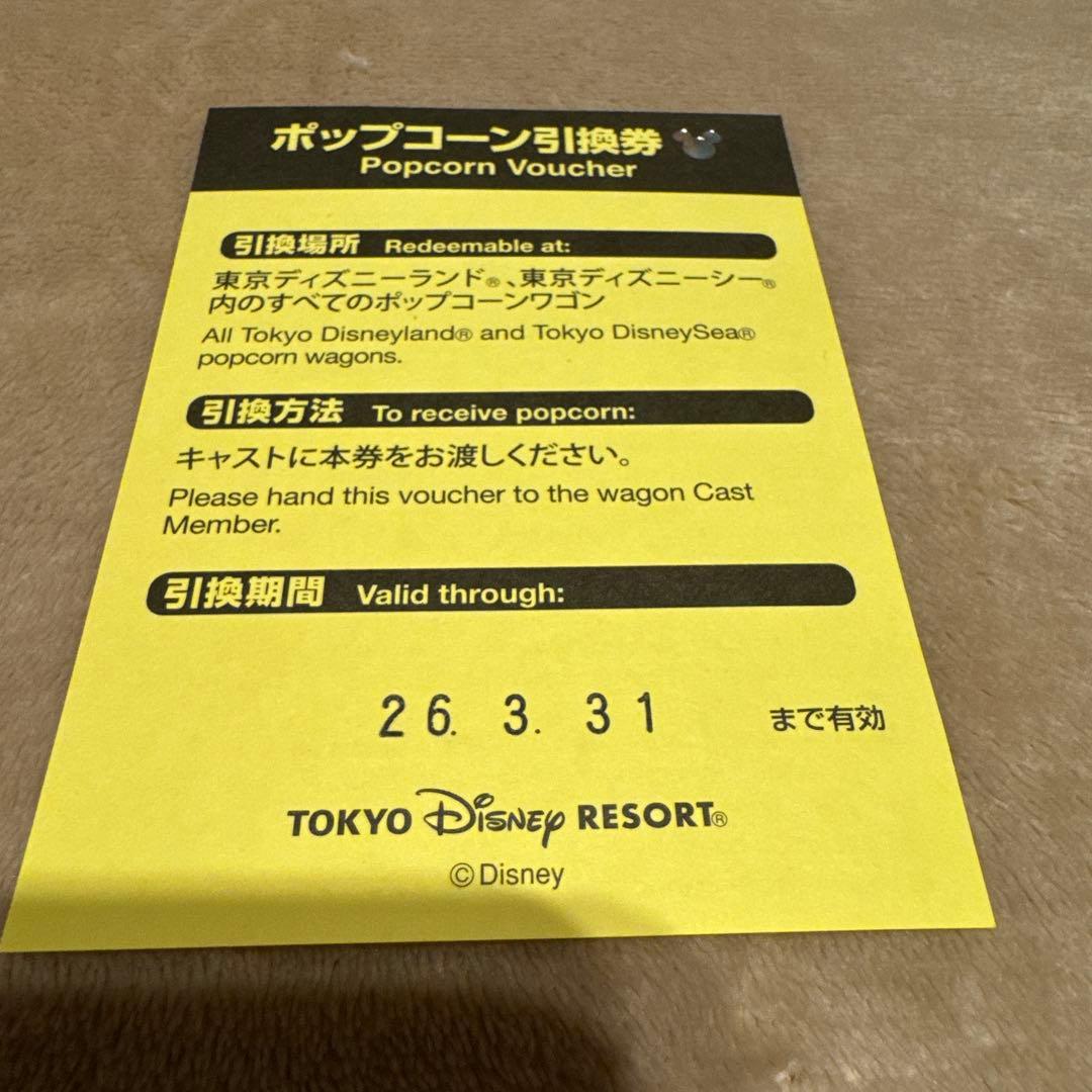 ポップコーンバケット【引換券付き】ミニー ファンダーランド パルパルーザ
