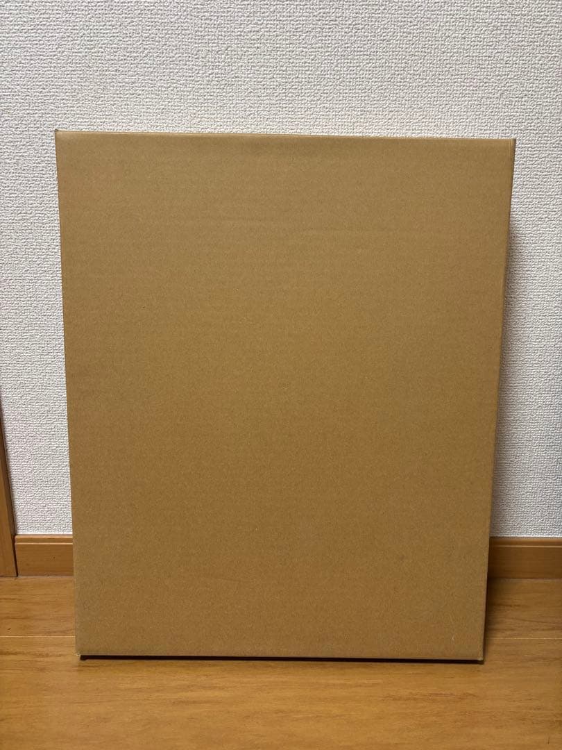 額縁　F4号　白　アンティーク調　油絵　アクリル　角箱 浮かし額装