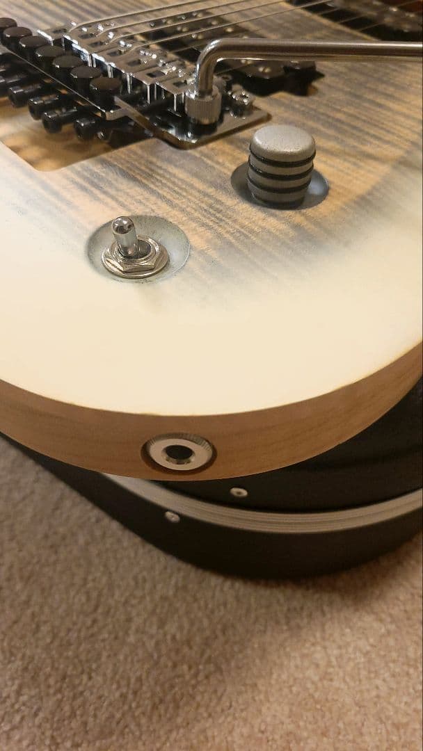 Skervesen Raptor 7 / 7弦ギター