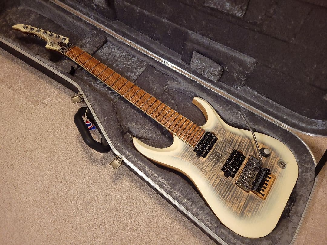 Skervesen Raptor 7 / 7弦ギター