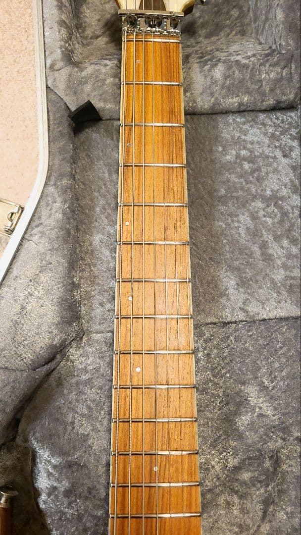 Skervesen Raptor 7 / 7弦ギター