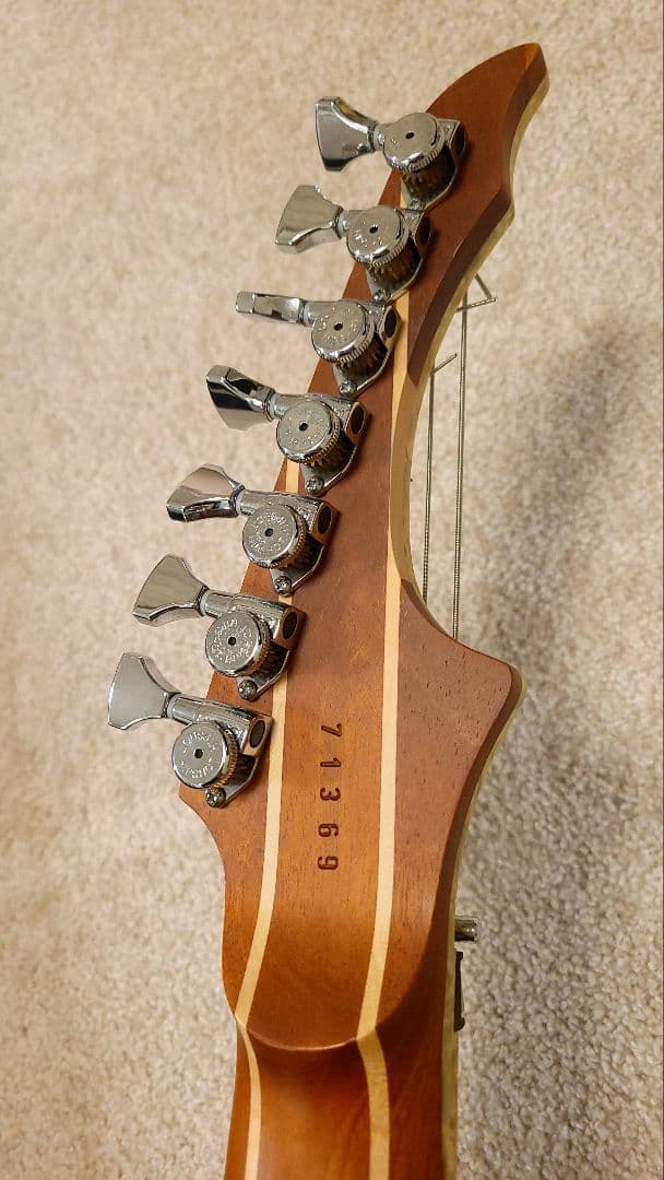 Skervesen Raptor 7 / 7弦ギター
