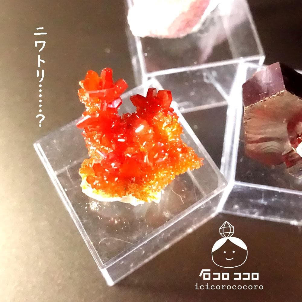 【匿名配送】バナディナイト06◆モロッコ直輸入【かわいい鉱物標本】石コロ ココロ