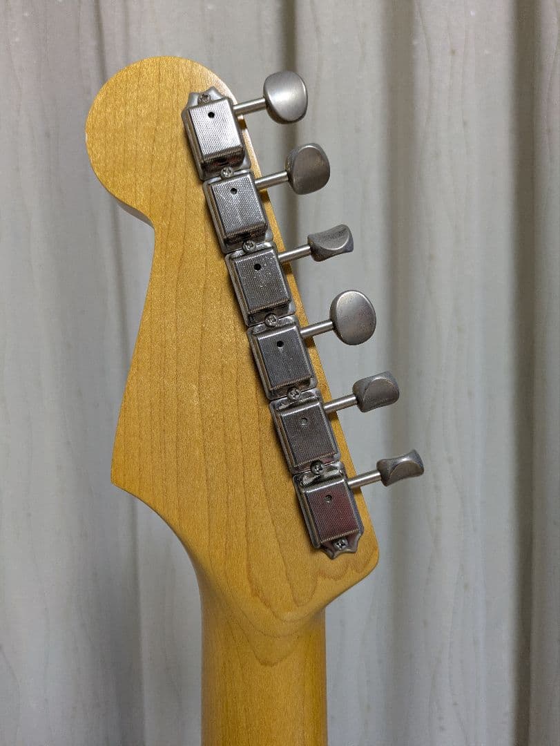ギター Vanzandt STV-R2