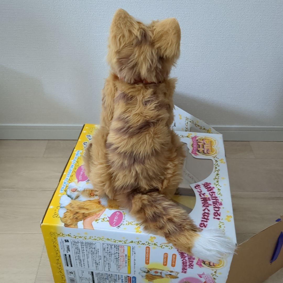夢ネコハート