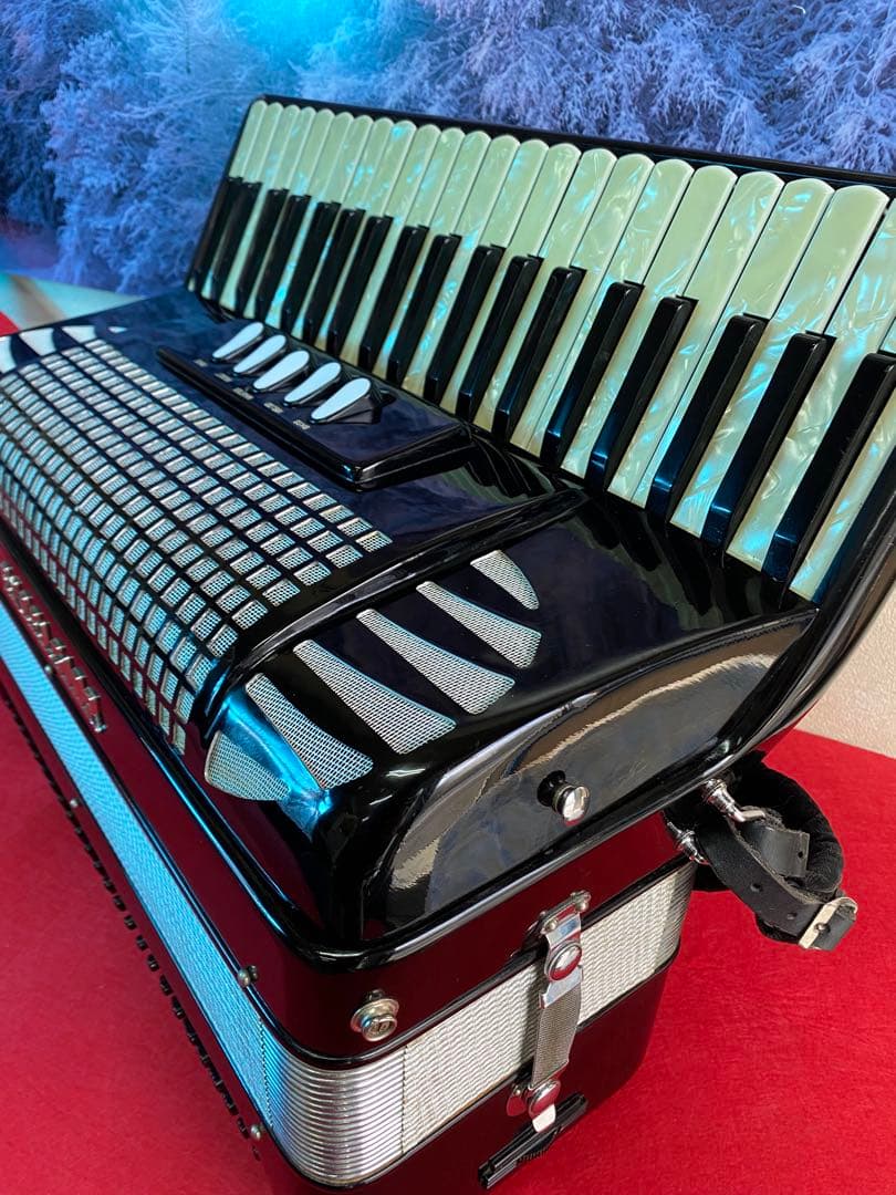 綺麗に保管された美品、EXCELSIOR400.41鍵120べース443hz