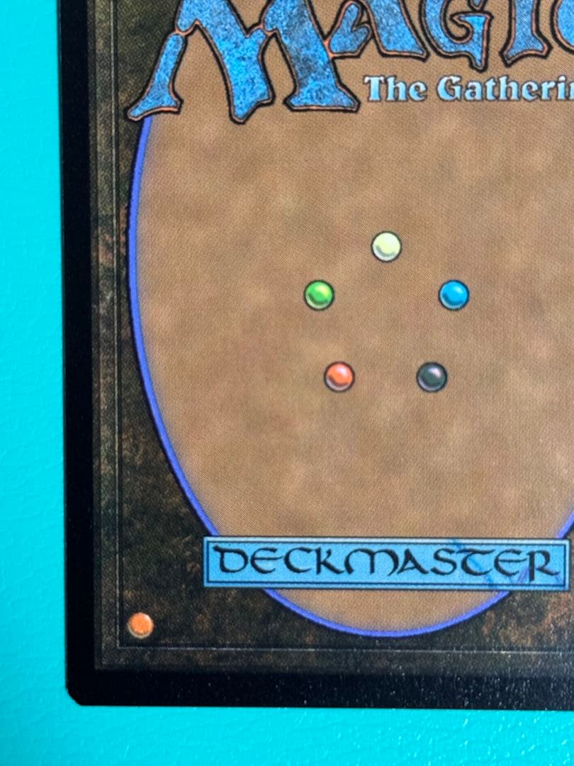 MTG　日本語版　シヴァ/緻密　ボーダーレス　Foil