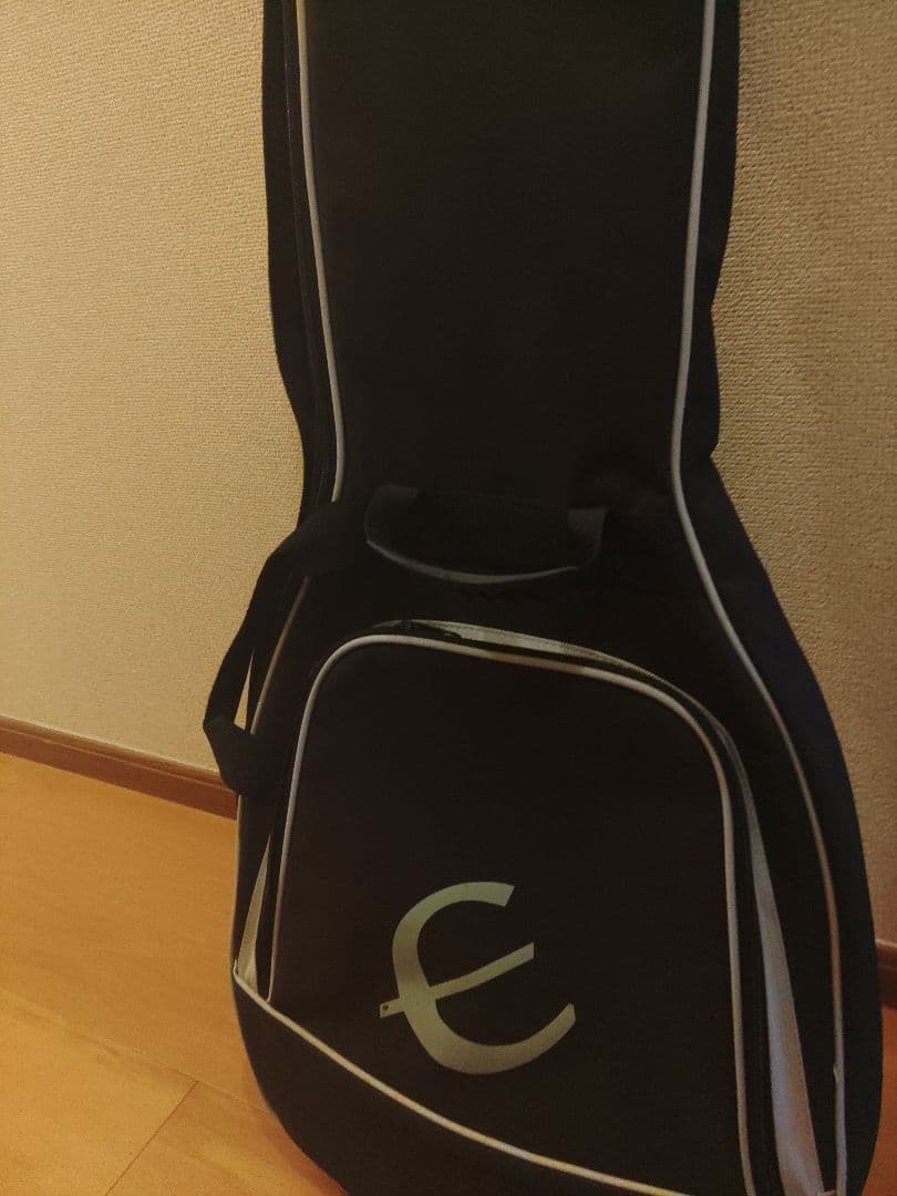 Epiphone Special Model GT ブラック
