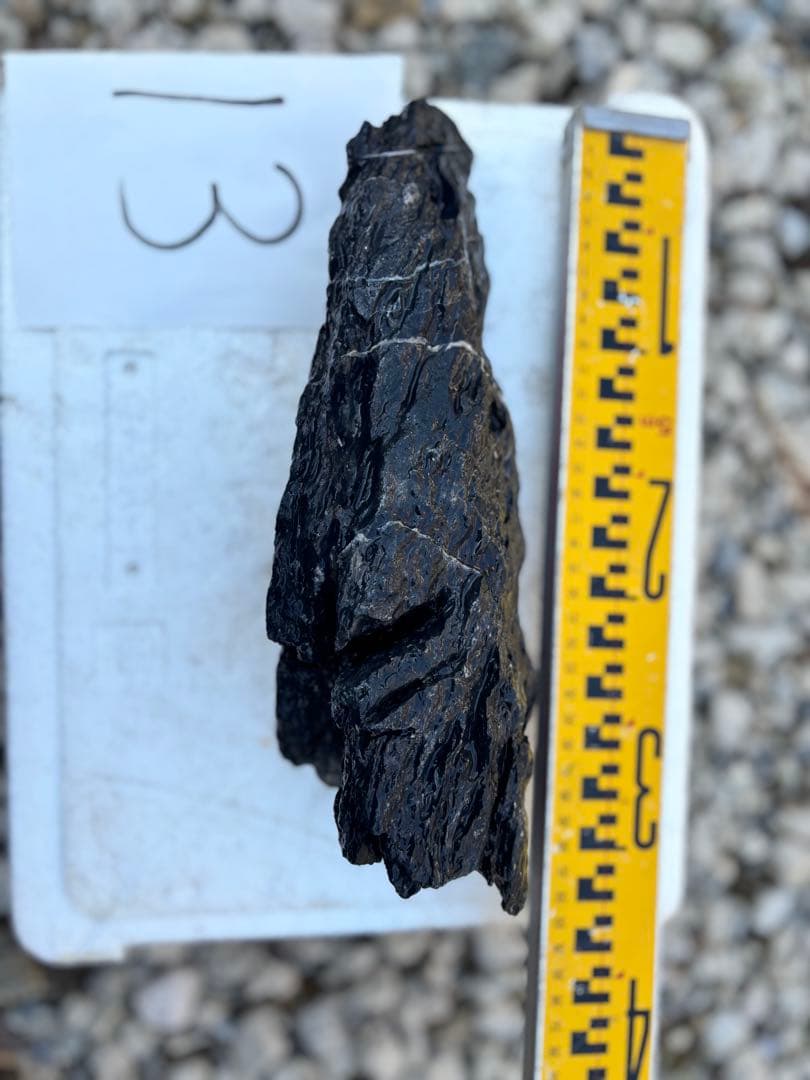 ADA 龍王石　清涼石　水槽用石