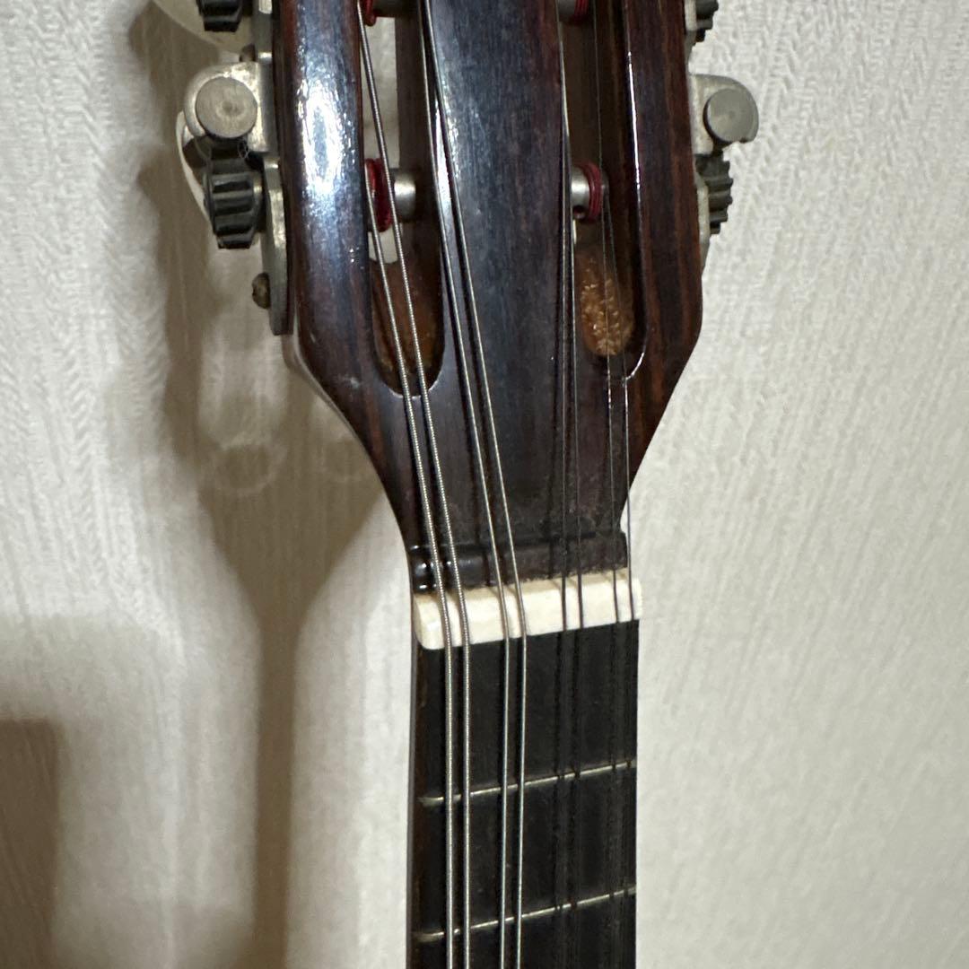 Raffaele 寺田楽器製 ハイエンド マンドリン RM-3 弦　ギター