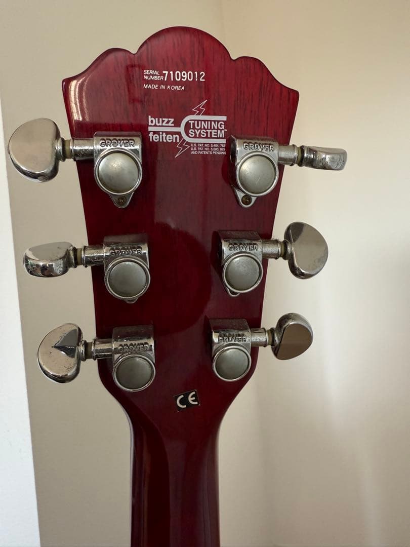 Washburn P2 ワッシュバーン PⅡ ヌーノ nuno