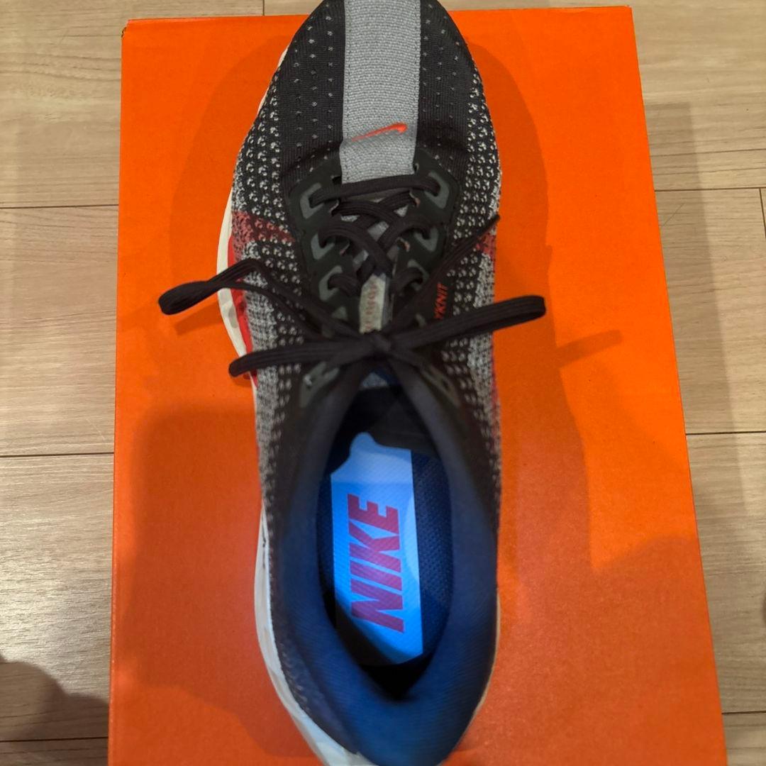 【きんぐ】NIKE　ペガサスプラス　27cm　箱付き