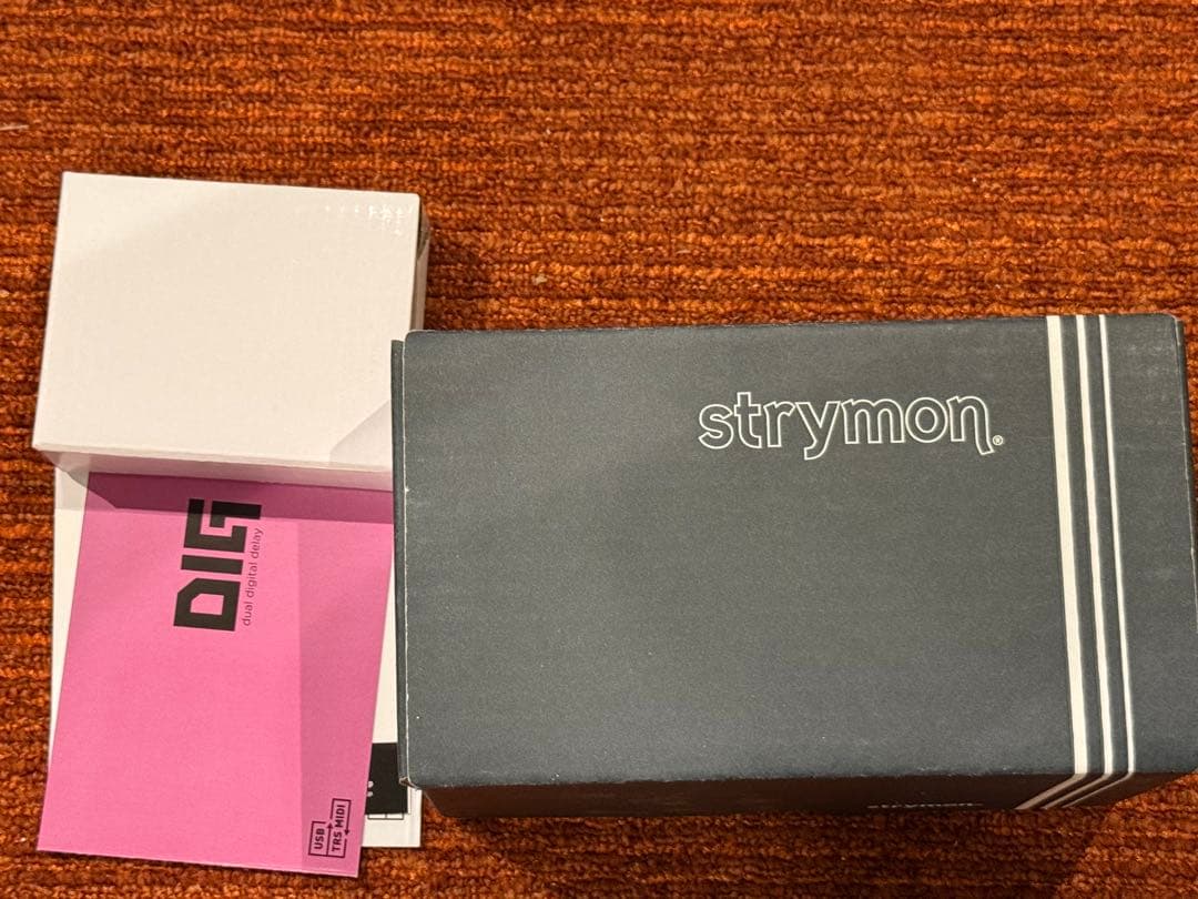 ギター strymon DIG V2