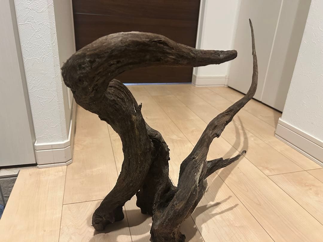 天然流木