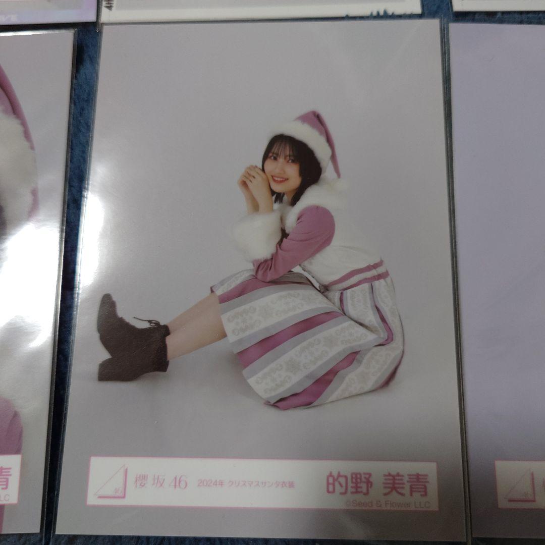 櫻坂46　的野美青　生写真　バラ