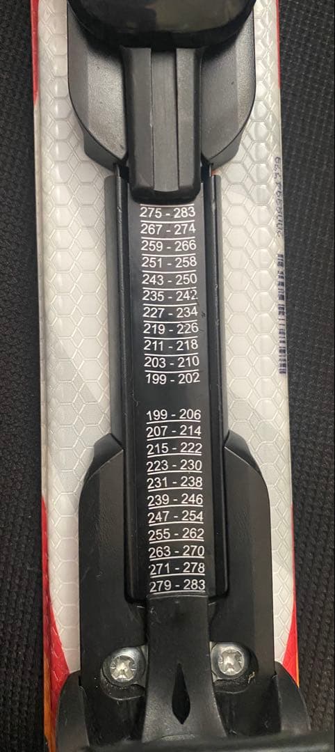 た*か様 ELAN Formula 100cm　ストック付